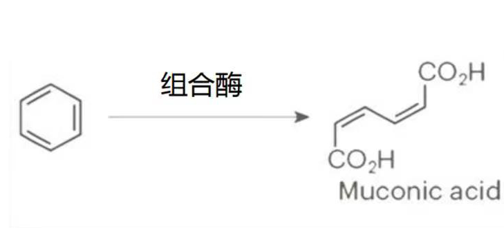 636b09c3b99f0.jpg 6b82872c96f19052e88f397fbf5b451.jpg