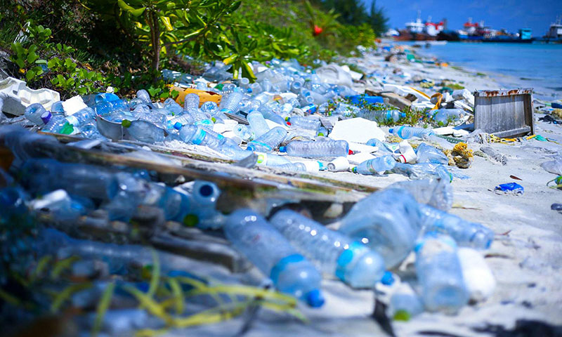 636b4198e589a.jpg 1.jpg