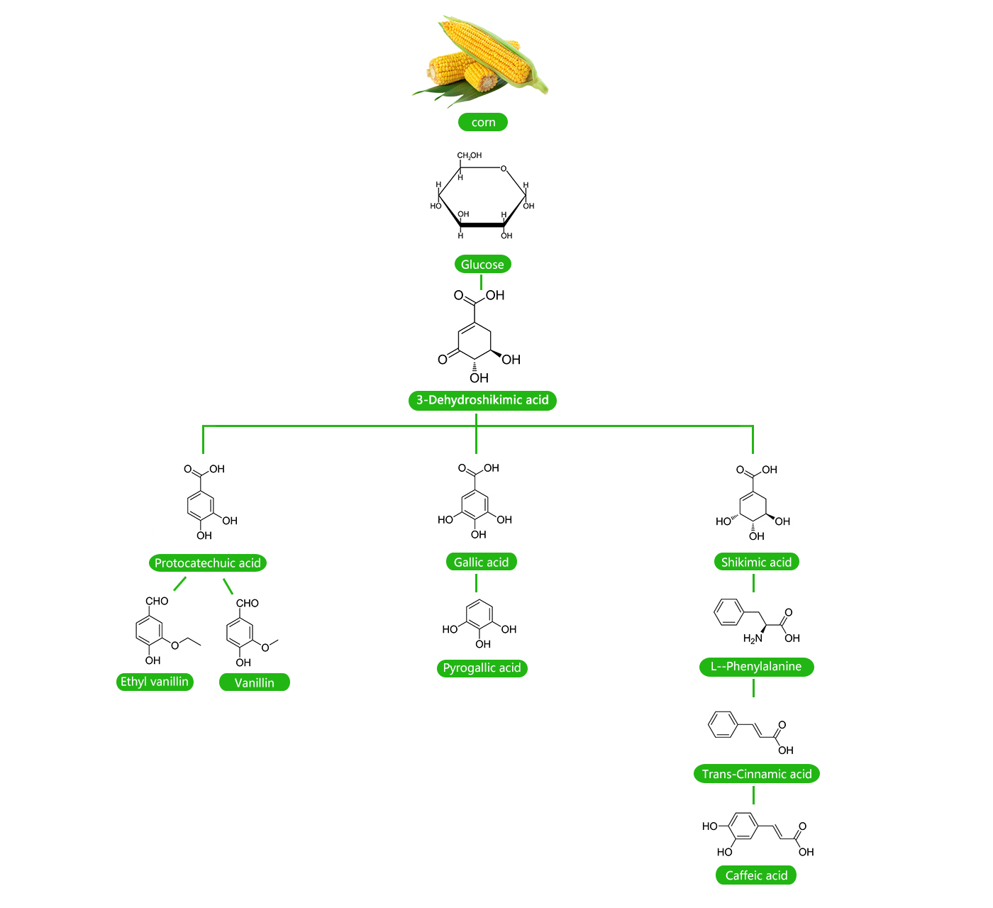 637486518caf7.jpg 芳香族管线英文.jpg
