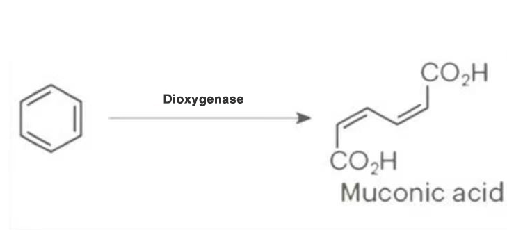 63749a282f8fd.jpg 6b82872c96f19052e88f397fbf5b451.jpg