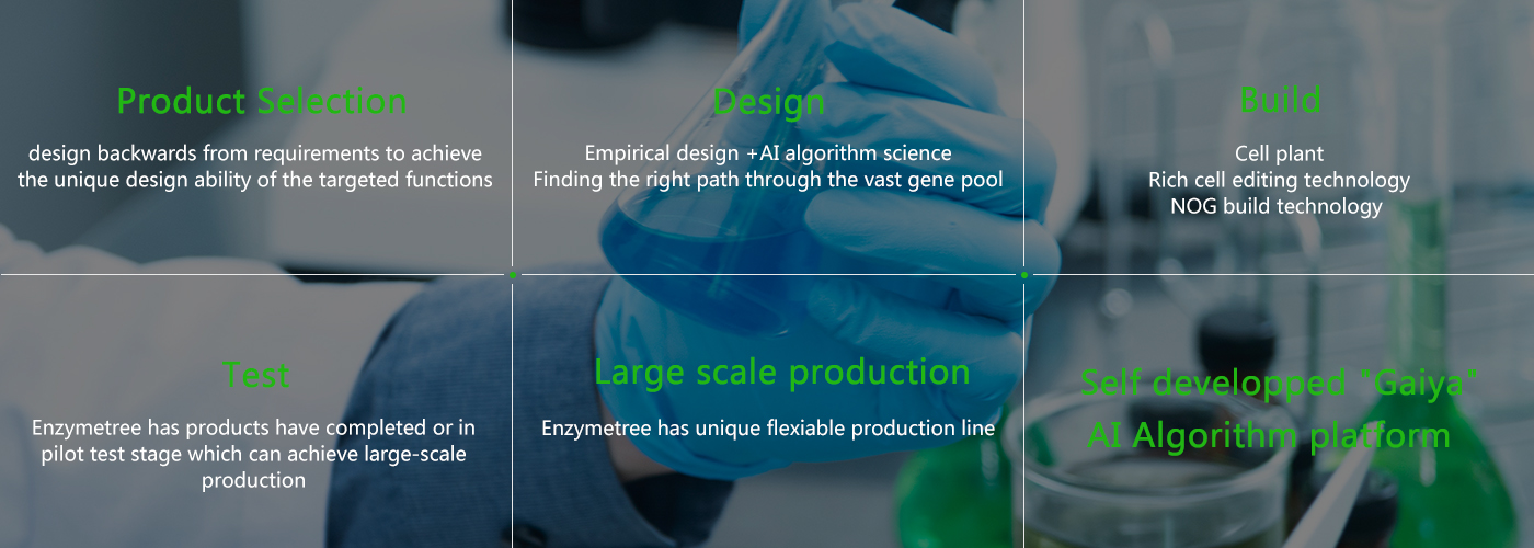 637c296277a09.jpg jishu英文.jpg